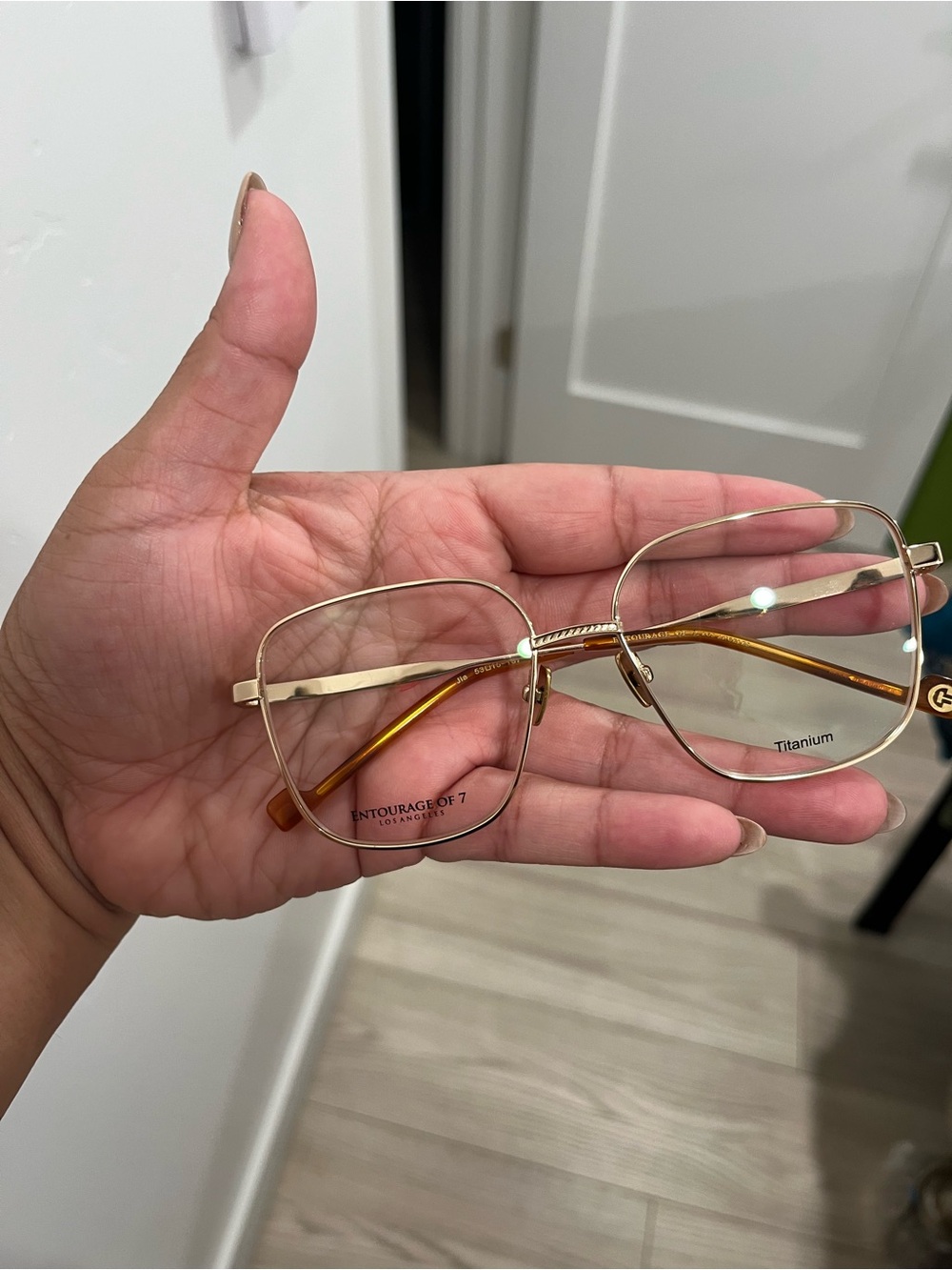 Entourage of 7 Titanium Frame